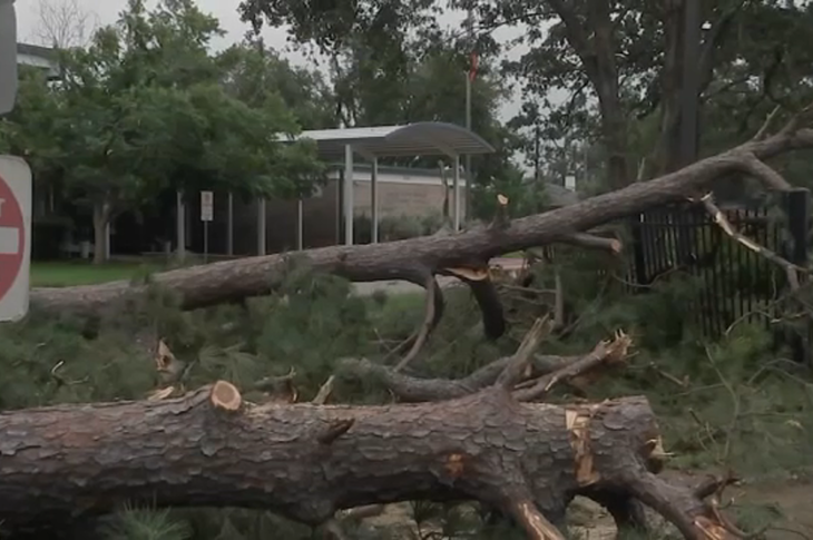 photograph depicts fallen tree from severe storms across southeast texas infront of a school
